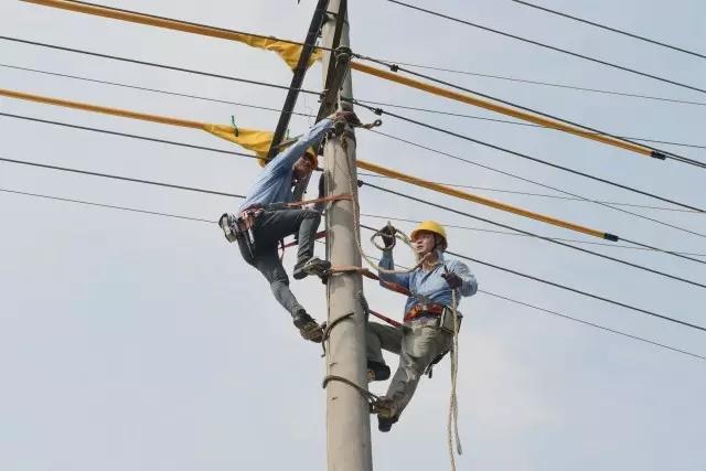 黄岩供电公司: 保障用电问题,做好企业"后勤兵"